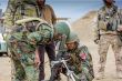 Vyjadrenia zahraničných partnerov k pôsobeniu slovenských SOF v Afganistane II.